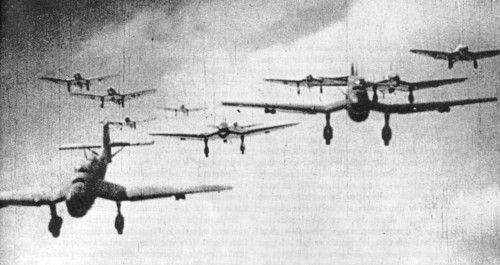 fly.jpg